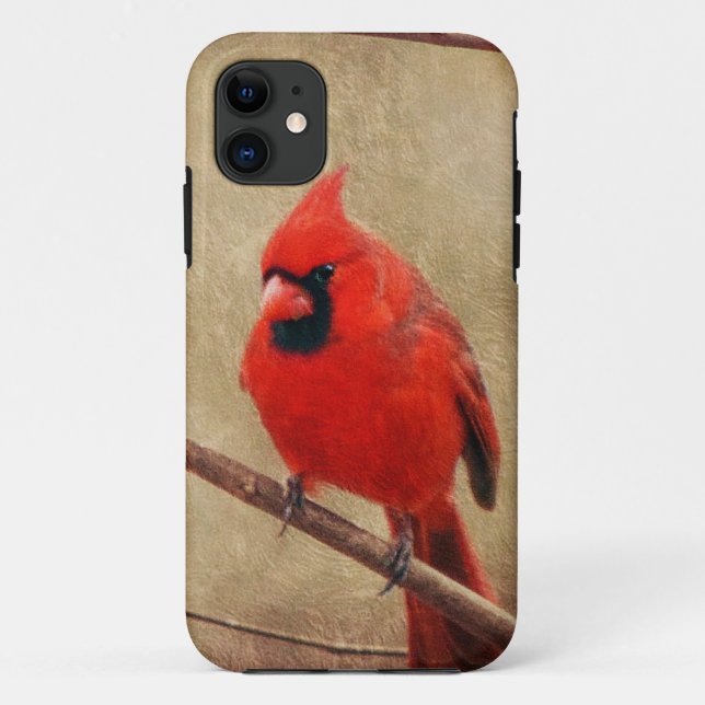 Capa Para iPhone Da Case-Mate Cardinal (Verso)