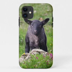 Capa Para iPhone Da Case-Mate Caso de gabinete-mate do iPhone 5 Baa Baa Black Sh
