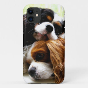 Capa Para iPhone Da Case-Mate Caso do iPhone 5/5S dos Cavaliers dos irmãos