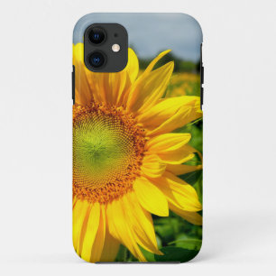 Capa Para iPhone Da Case-Mate Caso do iPhone 5 do girassol