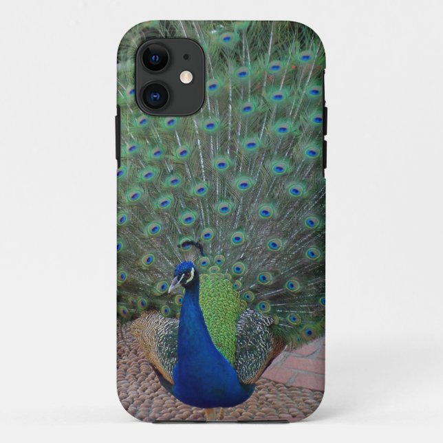 Capa Para iPhone Da Case-Mate Caso do iPhone 5 do pavão (Verso)
