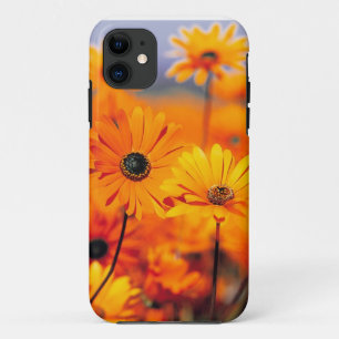 Capa Para iPhone Da Case-Mate Caso floral do universal de Iphone 5