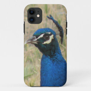 Capa Para iPhone Da Case-Mate Caso Peacock iPhone 5