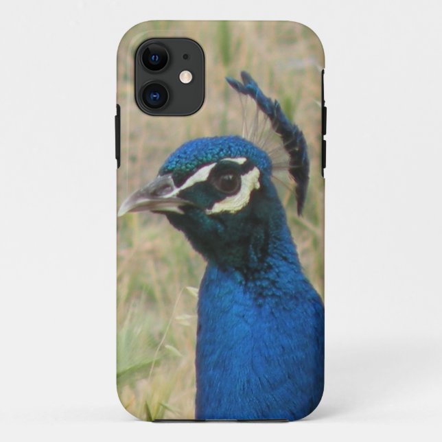 Capa Para iPhone Da Case-Mate Caso Peacock iPhone 5 (Verso)
