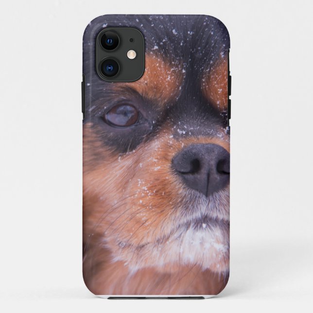 Capa Para iPhone Da Case-Mate Cavalier King Charles Spaniel Floco de Neve (Verso)