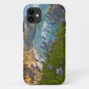 Capa Para iPhone Da Case-Mate Cenário de McWay Falls deságua na praia e