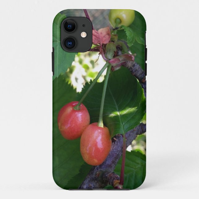 Capa Para iPhone Da Case-Mate Cerejas ficando vermelhas (Verso)