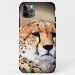 Capa Para iPhone Da Case-Mate Cheetah Portrait, Lua Cheia: Graça da Natureza