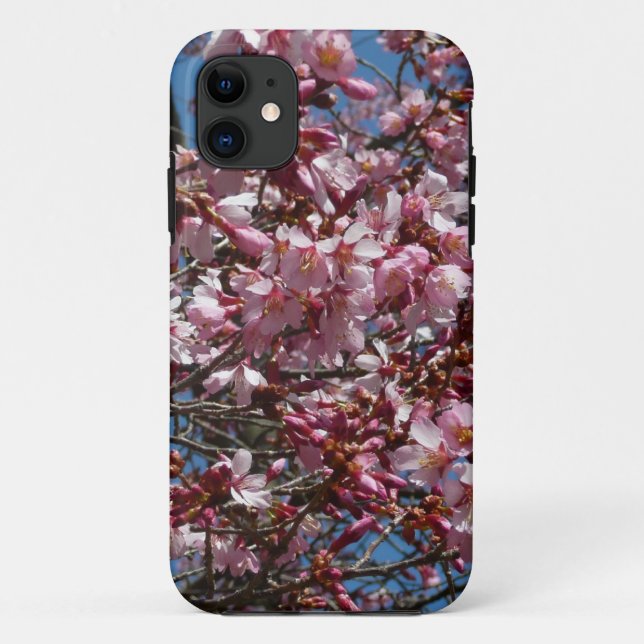 Capa Para iPhone Da Case-Mate Cherry Blossoms e Blue Sky Primavera Floral (Verso)