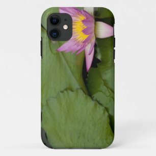Capa Para iPhone Da Case-Mate China, Hong Kong, Novos Territórios. Chi Lin