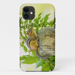 Capa Para iPhone Da Case-Mate Chipmunk em um Posto de cerca