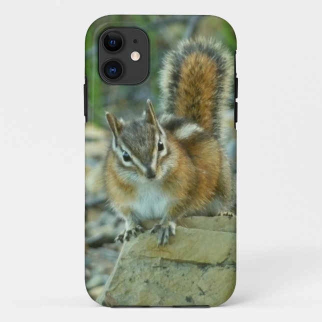 Capa Para iPhone Da Case-Mate Chipmunk no Parque Nacional Glacier (Verso)