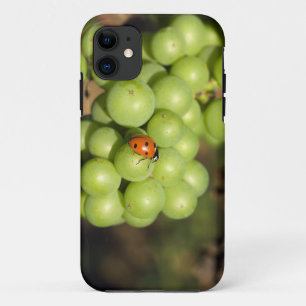 Capa Para iPhone Da Case-Mate Close de uma joaninha em uvas Pinot Noir verdes