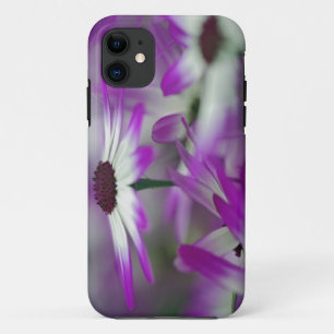 Capa Para iPhone Da Case-Mate Close-up de flor roxa, Jardim Keukenhof,