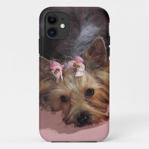 Capa Para iPhone Da Case-Mate Cobrir adorável do iPhone 5 do cão do KRW Yorkie