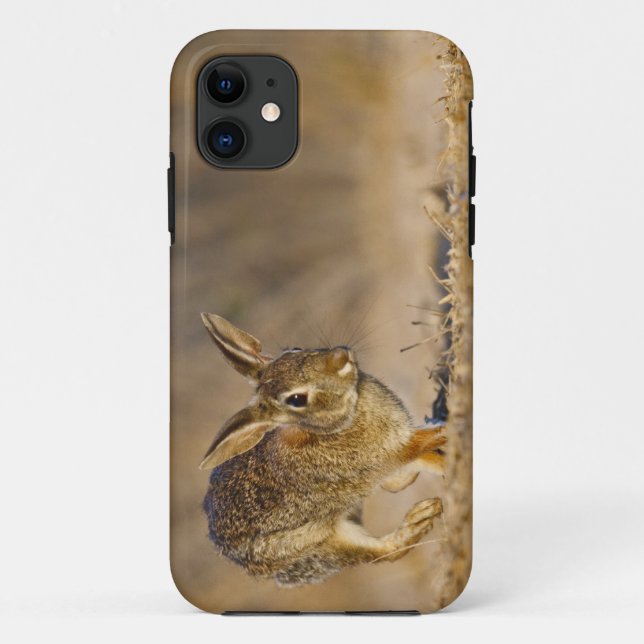 Capa Para iPhone Da Case-Mate coelho-da-cotovia-oriental saltando (Verso)