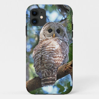 Capa Para iPhone Da Case-Mate Coruja barrada na floresta