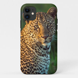 Capa Para iPhone Da Case-Mate Couve-Cheio (Panthera Pardus)