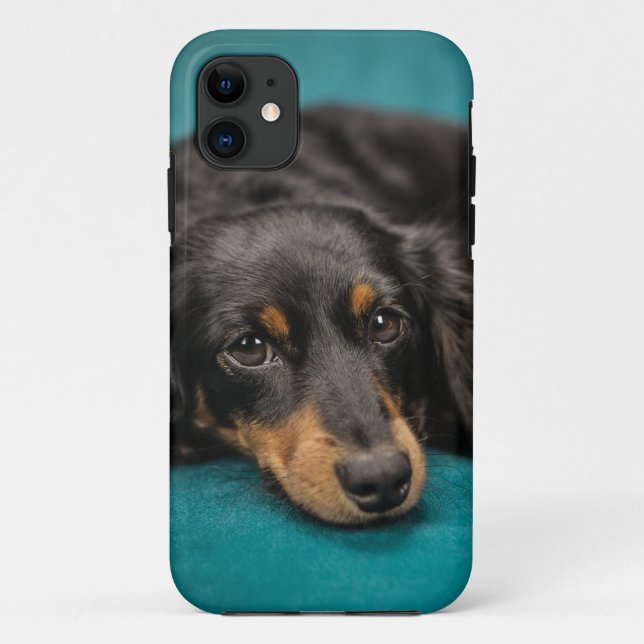 Capa Para iPhone Da Case-Mate Dachshund bonito que estabelece (Verso)