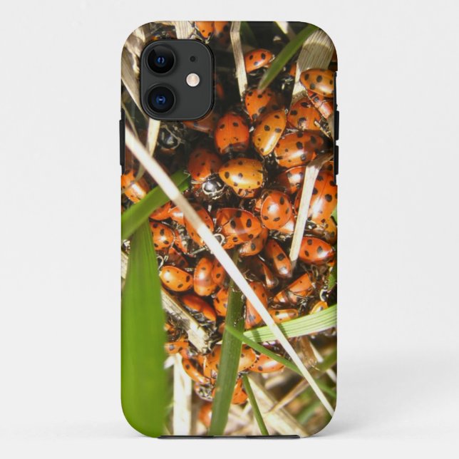 Capa Para iPhone Da Case-Mate Damybugs (Coccinellidae) (Verso)