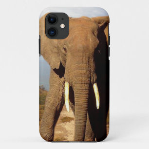 Capa Para iPhone Da Case-Mate Dia da Praia do Elefante,