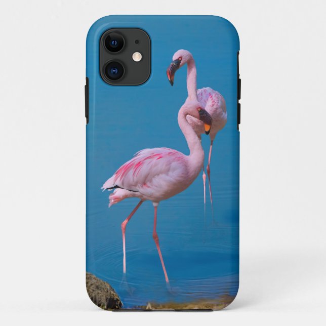 Capa Para iPhone Da Case-Mate Dois flamingos cor-de-rosa (Verso)