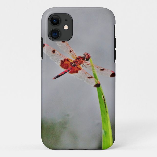 CAPA PARA iPhone DA Case-Mate DSC00029.JPG (Verso)