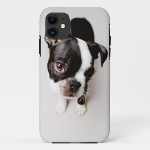 Capa Para iPhone Da Case-Mate Edison Boston Terrier cachorrinho.