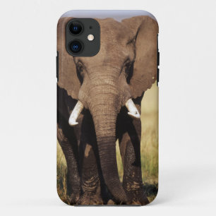 Capa Para iPhone Da Case-Mate Elefante-da-savana-africano