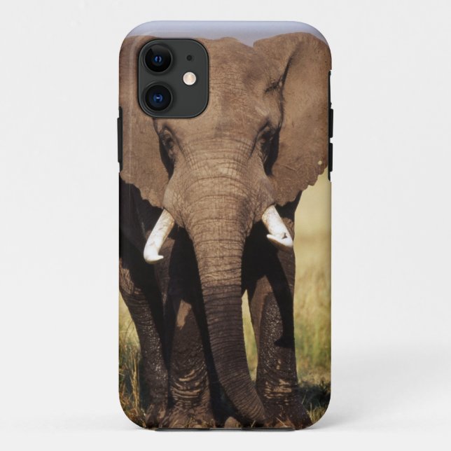 Capa Para iPhone Da Case-Mate Elefante-da-savana-africano (Verso)