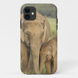 Capa Para iPhone Da Case-Mate Elefante indiano / asiático e filhote, Corbett