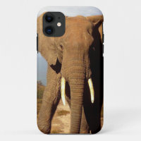 Elephant Beach Day Outing,