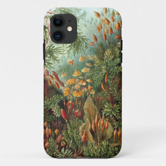 Capa Para iPhone Da Case-Mate Ernst Haeckel - Muscinae
