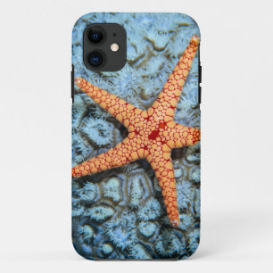 Capa Para iPhone Da Case-Mate Estrela do mar em um coral com Polips
