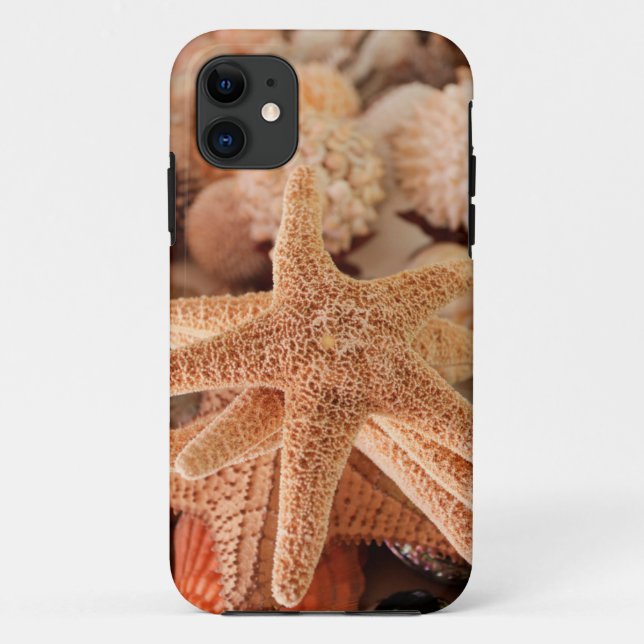 Capa Para iPhone Da Case-Mate Estrelas-do-mar secas vendidas como lembranças (Verso)