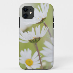 Capa Para iPhone Da Case-Mate EUA, Alasca, Parque Nacional Glacier Bay