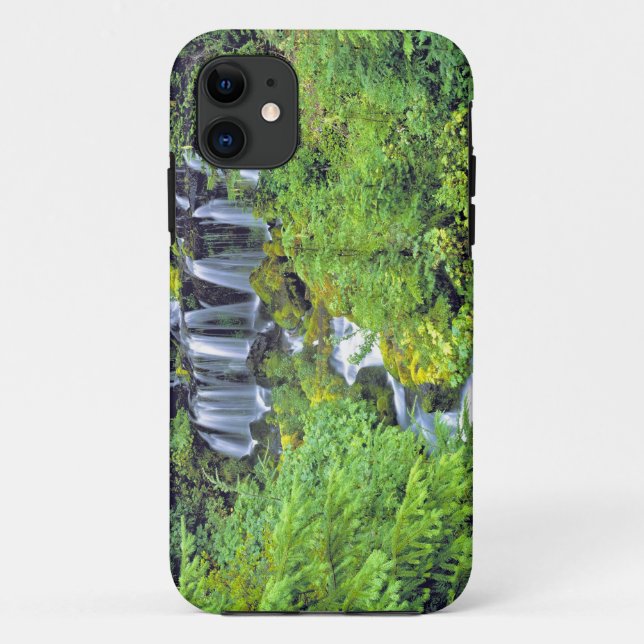 Capa Para iPhone Da Case-Mate EUA, Estado de Washington, Mt Adams Wilderness. Tw (Verso)
