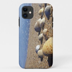 Capa Para iPhone Da Case-Mate EUA, Flórida, Conchas Marinhas Costeiras