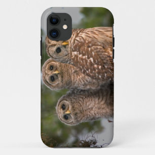 Capa Para iPhone Da Case-Mate EUA, Flórida, Viera Wetlands. Três listras