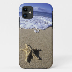Capa Para iPhone Da Case-Mate EUA, Havaí, Maui, Praia de Makena, Estrela-do-mar