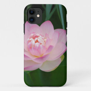Capa Para iPhone Da Case-Mate EUA, Kansas, Lírio de Água Rosa