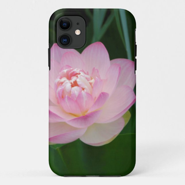 Capa Para iPhone Da Case-Mate EUA, Kansas, Lírio de Água Rosa (Verso)