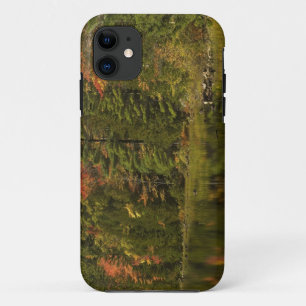 Capa Para iPhone Da Case-Mate EUA; Maine; Acadia NP. Reflexos de outono às 2