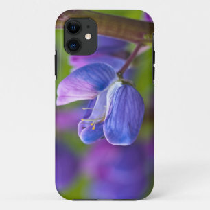 Capa Para iPhone Da Case-Mate EUA, Maine, Parque Nacional Acadia. Close-up de