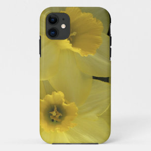 Capa Para iPhone Da Case-Mate EUA, Utah, Daffodils do Vale de Cache