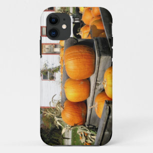 Capa Para iPhone Da Case-Mate EUA, Vermont. Abóboras