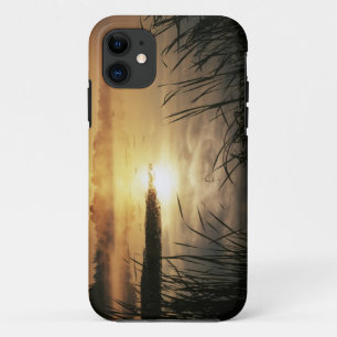 Capa Para iPhone Da Case-Mate EUA, Washington, Lopez Island, Nevoeiro da manhã e