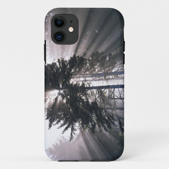 Capa Para iPhone Da Case-Mate EUA, Washington, Parque Nacional Olímpico, Manhã (Verso)