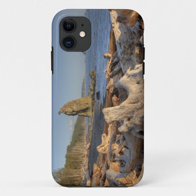 Capa Para iPhone Da Case-Mate EUA, Washington, Parque Nacional Olímpico, Rialto (Verso)