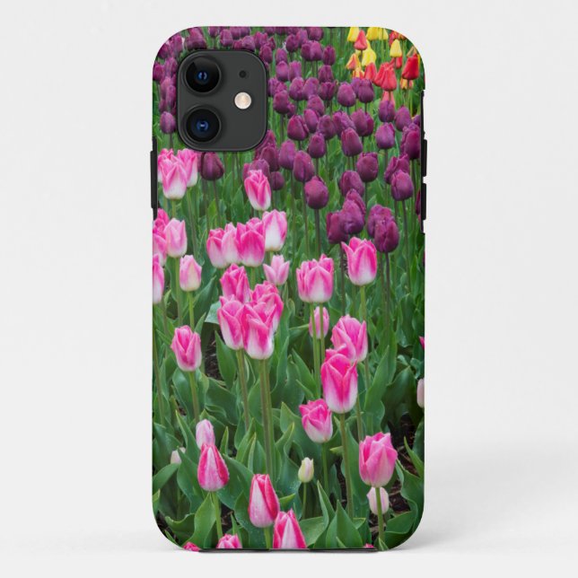 Capa Para iPhone Da Case-Mate EUA, Washington. Tulipas Blooming (Verso)